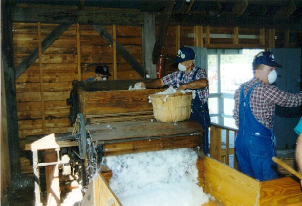 ginning1.jpg (91957 bytes)